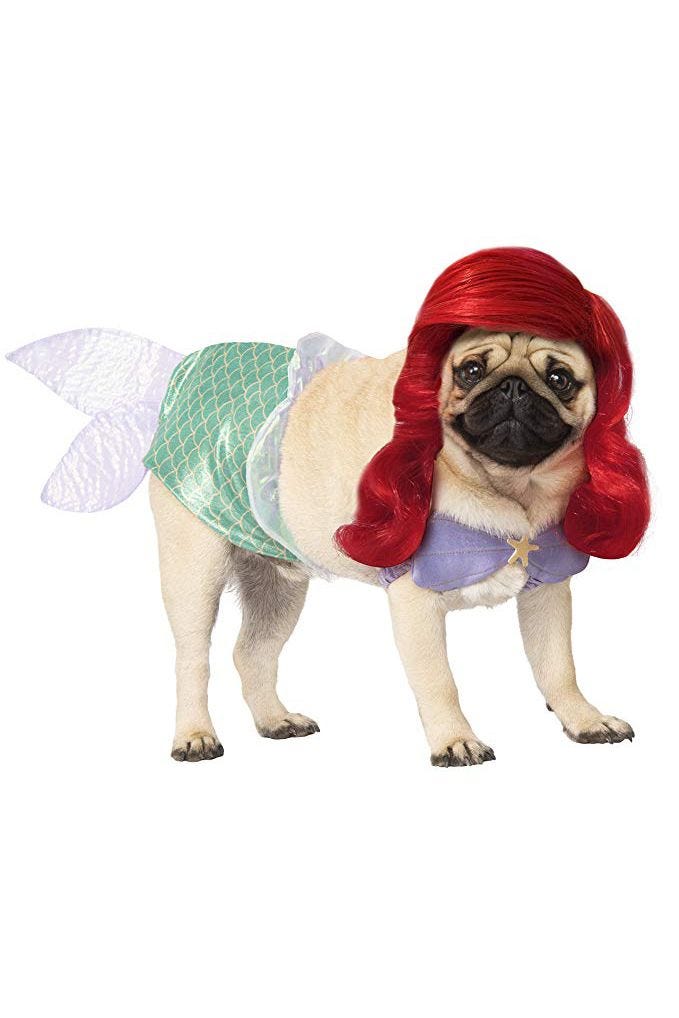 50 Dog Halloween Costumes , Cute Ideas for Pet Costumes